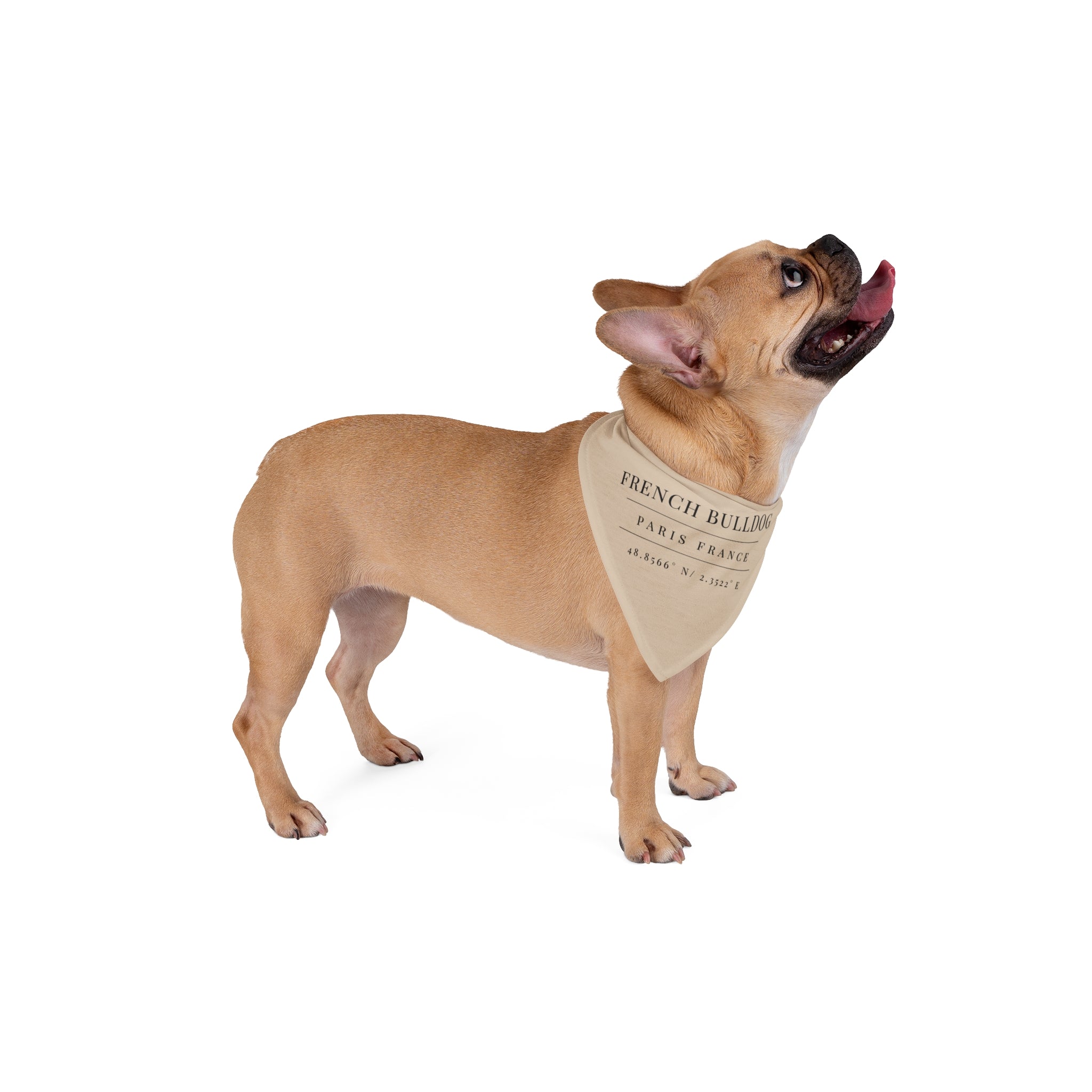 Frenchie Heritage Bandana, sand