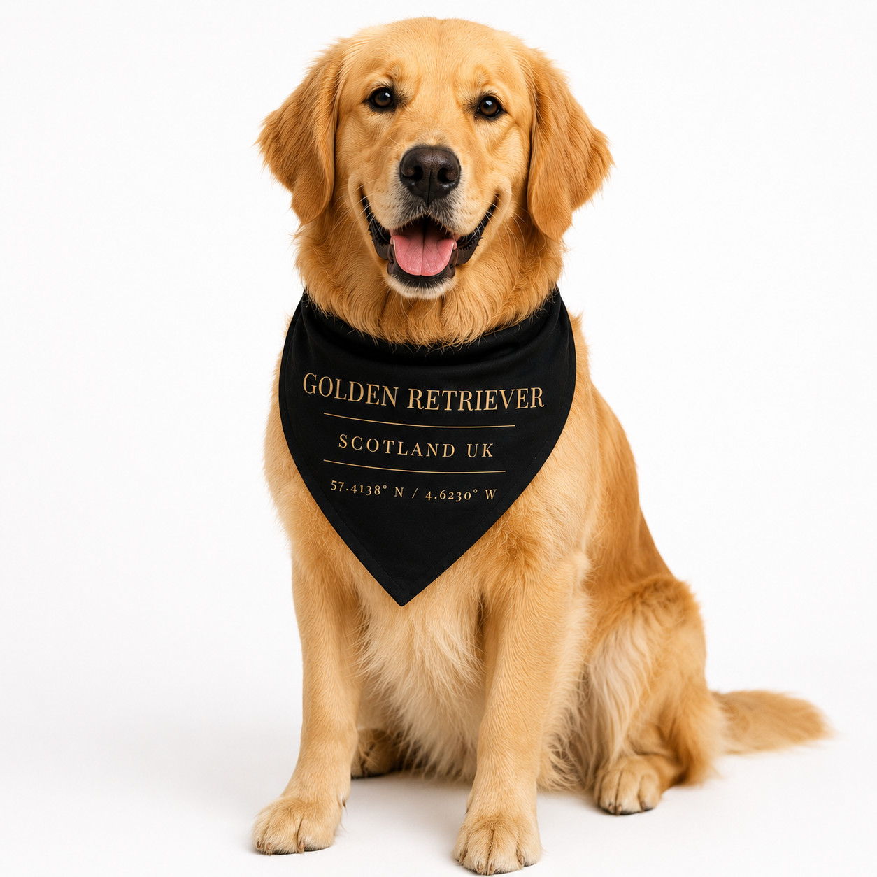Golden Retriever Heritage Bandana, blue