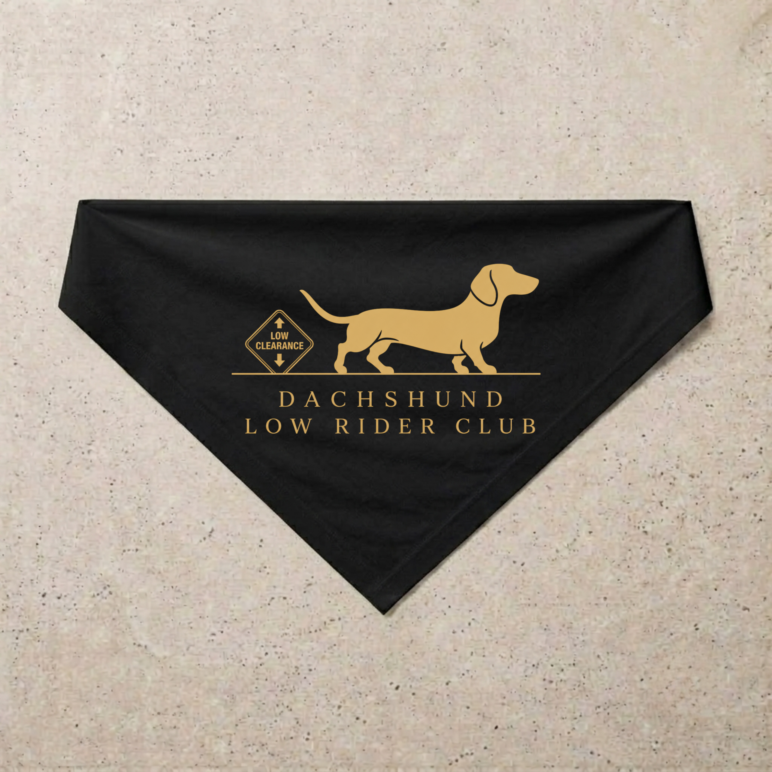 Dachshund Low Rider Club Bandana, black