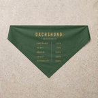 Dachshund Composition Bandana, green