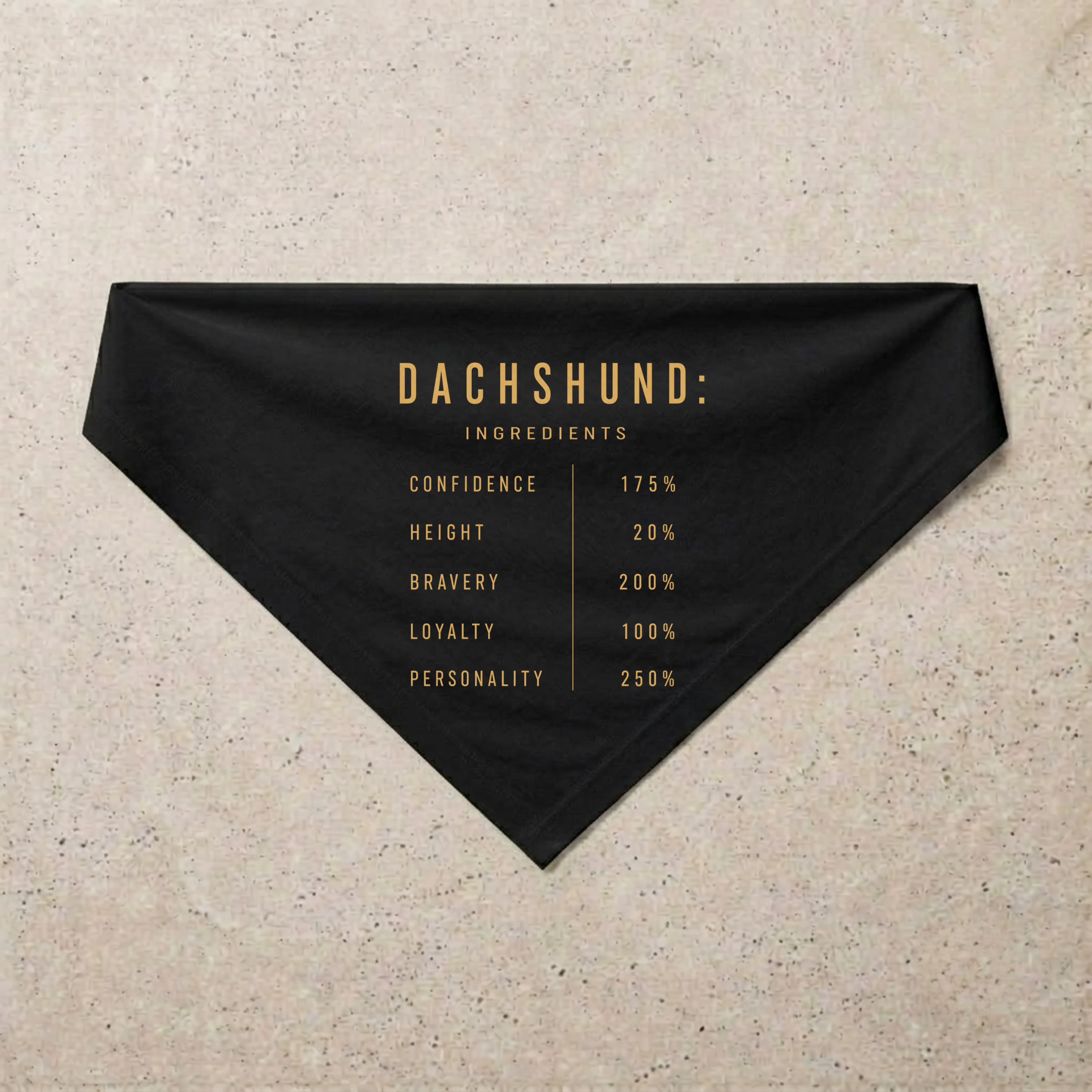 Dachshund Composition Bandana, black