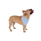 Frenchie Heritage Bandana, blue