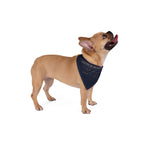 Frenchie Heritage Bandana, navy